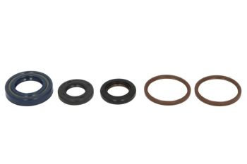 Mootori kaelustihendite komplekt