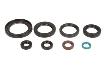 Mootori kaelustihendite komplekt