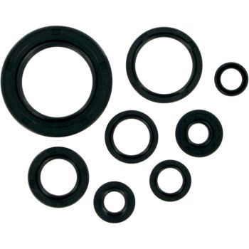 MSE MTR SEALS CR250/500