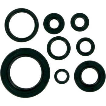 MSE MTR SEALS CR250'92-01