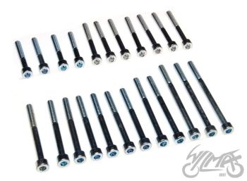 MZ250 mootori poltide komplekt