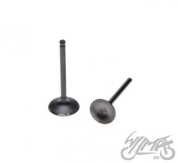 YX140cc klappide komplekt