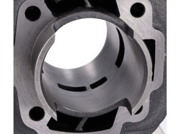 cylinder kit 100cc w/o gasket set for Peugeot Speedfight, Trekker, Vivacity, Elyseo 100