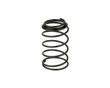 oil filter screen spring