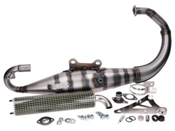 exhaust Yasuni Carrera 10 carbon look yellow for Minarelli vertical