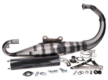 exhaust Yasuni Carrera 10 carbon look for Minarelli vertical