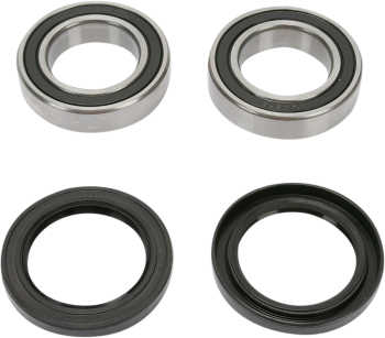 REAR WHEEL BEARING KIT