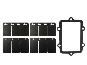 Sno-X Reed valve repair kit, Ski-Doo