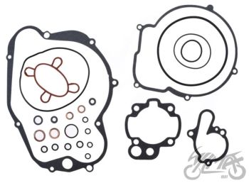 Tihendikomplekt MINARELLI AM6