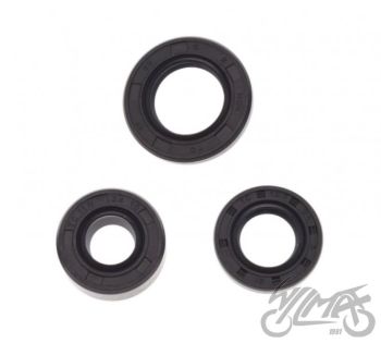 Mootori õlitihendi komplekt (3 tk komplektis)