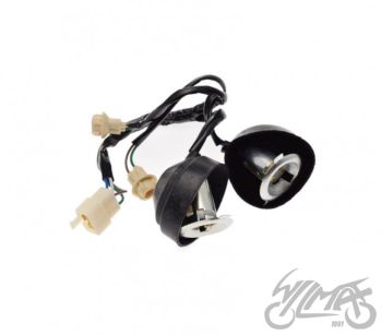 Pirni pesa longjia sharpy