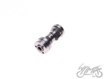 Nukkvõll, pikk peaga AY35213