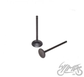 Väljalaske- ja sisselaskeklapp 125 GY6 4T 152QMI-E4