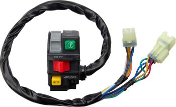 SWITCH BLOCK ASSEMBLY CANAM