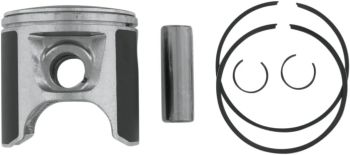 PISTON ASSY PLAT S/D STD
