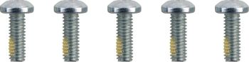 SCREWS F RTR 5/16-18TORX
