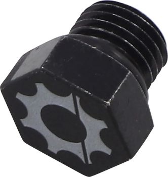 DRAIN PLUG REAR DIFF