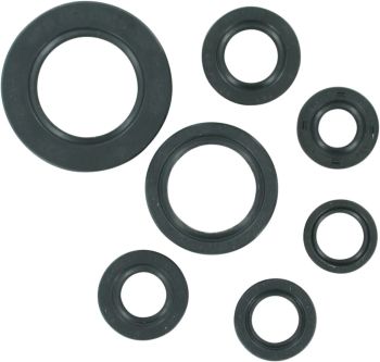 OIL SEAL SET MSE HON