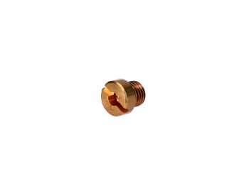carburetor main jet Polini 6mm for Dellorto carburetor - 118