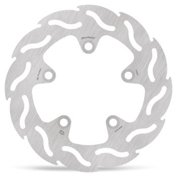 BRAKE DISC FLAME REAR