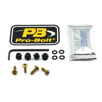 BOLT KIT SCREEN GOLD