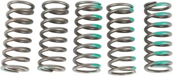 SPRINGS CLUTCH KX450F