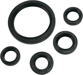 OIL SEAL SET MSE YAM