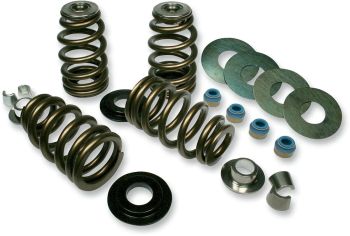 VALVE SPRINGS HILOAD SE