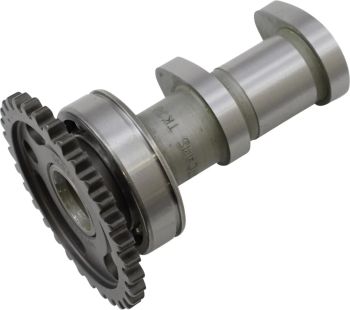 CAM INTAKE KXF250F