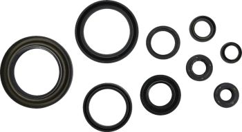 SEAL CRANKCASE OIL KIT TRX450R