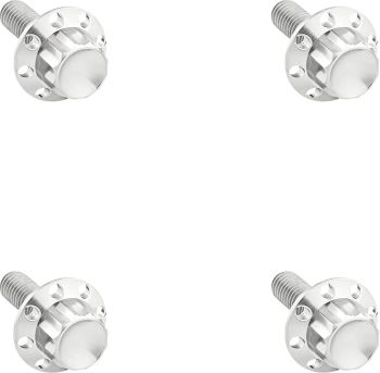 BOLT KIT TITANIUM - FLHX 24-25