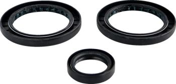 DIFFERENTIAL SEAL KIT RR