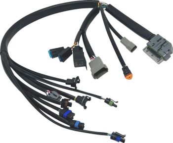 HARNESS EFI 04-05 FLH/FLT