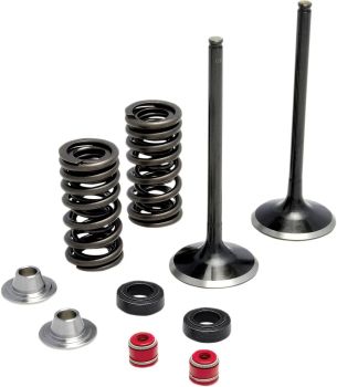 SPRING KIT SS CFR250R 16+