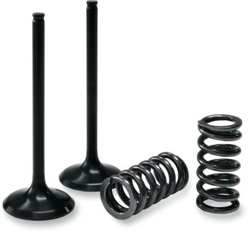 VALVE EX/SPRING KIT LT-R450