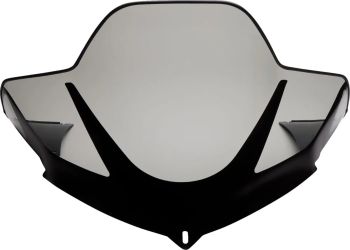 WINDSHIELD 14.5 TINT ARC