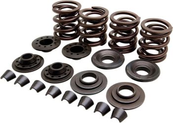 SPRING KIT VLV OE 57-83XL
