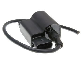 CDI UNIT W/ IGNITION COIL