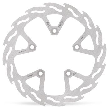 BRAKE DISC FLAME REAR