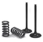 VALVE EX/SPRING KIT EXC-F