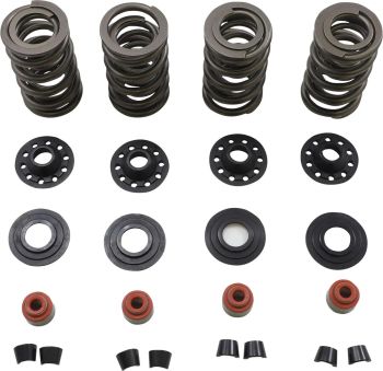 SPRING KIT 05-17 TC/XL