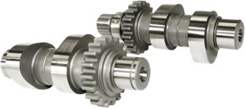 CAMS 594C CHAIN DRV 07-17