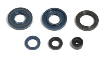ENGINE OIL SEALS KIT