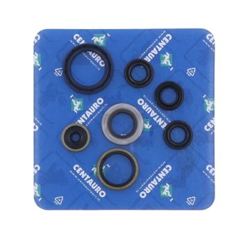 SEAL OIL KT/HV