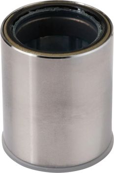 PRIMARY CLTCH BEARING POL