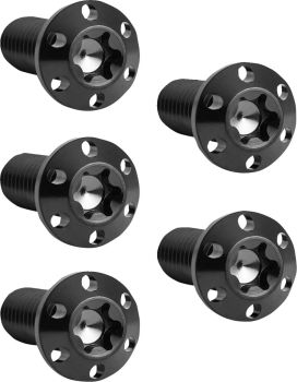BOLT KIT ROTOR REAR HOLESHOT 5