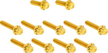 BOLT KIT TITANIUM - M8 24-25 -