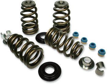 VALVE SPRNGS 05-17 TC