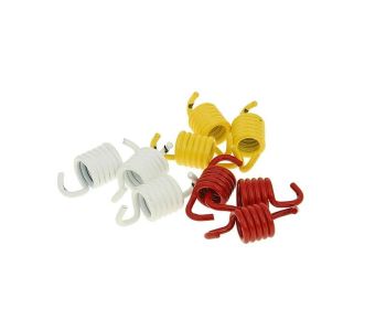 clutch springs Malossi Maxi for original / Maxi Delta clutch
