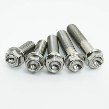 BOLT KIT ENGINE TITANIUM SX65
